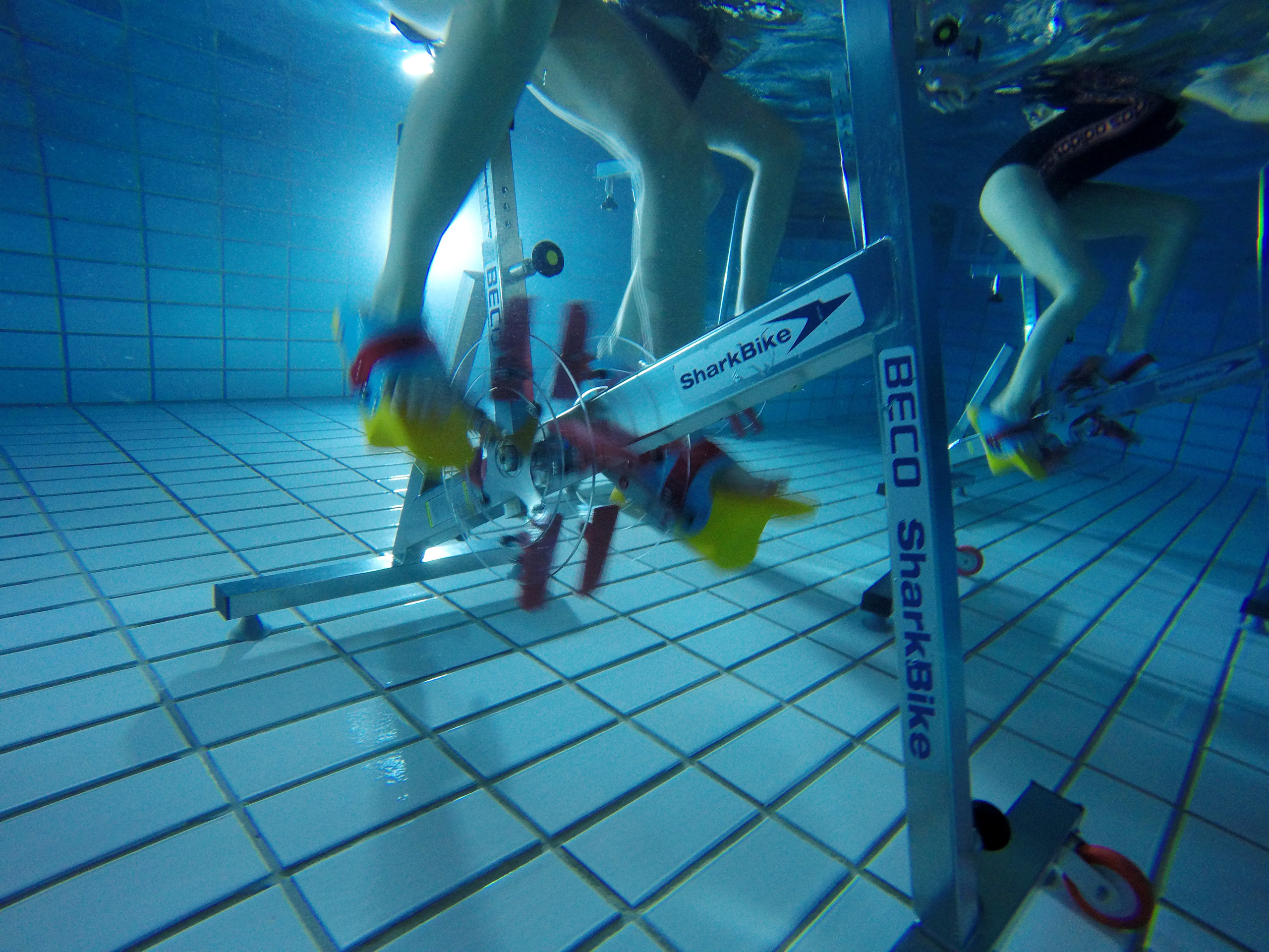 DCIM100GOPROGOPR9068.